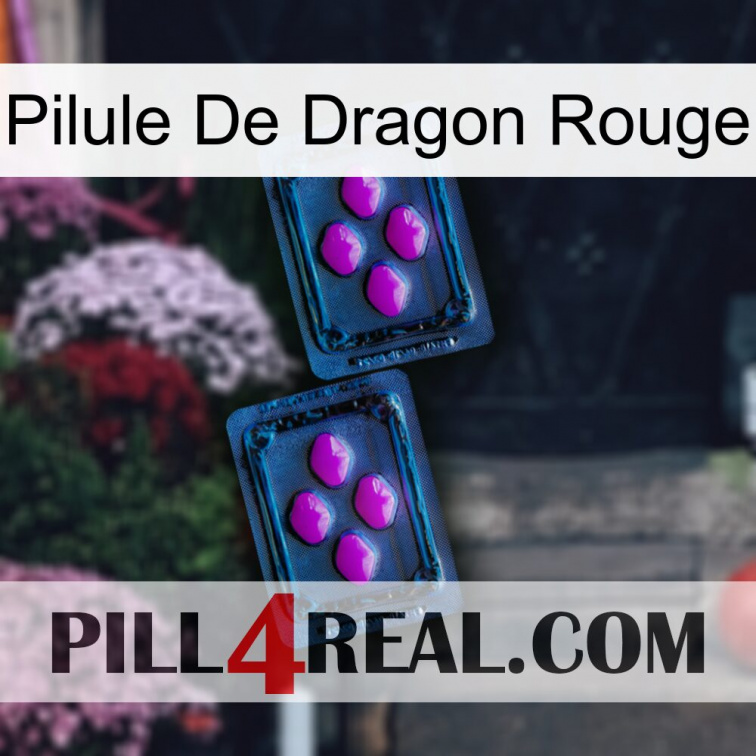 Red Dragon Pill 03